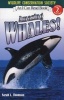 Amazing Whales (Paperback) - Sarah L Thomson Photo