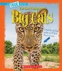 Big Cats (Paperback) - Katie Marsico Photo