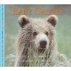 Baby Grizzly Bear (Hardcover) - Aubrey Lang Photo