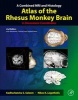 A Combined MRI and Histology Atlas of the Rhesus Monkey Brain in Stereotaxic Coordinates (Hardcover, 2nd Revised edition) - Kadharbatcha S Saleem Photo