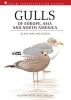 Gulls of Europe, Asia and North America (Hardcover) - Klaus Malling Olsen Photo