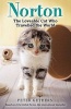 Norton, the Loveable Cat Who Travelled the World (Paperback) - Peter Gethers Photo