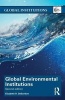 Global Environmental Institutions (Paperback, 2nd Revised edition) - Elizabeth R DeSombre Photo