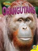 Orangutans (Paperback) - Deb Marshall Photo