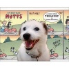 Everyday Mutts - A Comic Strip Treasury (Paperback) - Patrick McDonnell Photo