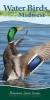 Water Birds of the Midwest Quick Guide (Spiral bound) - Stan Tekiela Photo