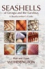 Seashells of Georgia and the Carolinas - A Beachcomber's Guide (Paperback) - Blair Witherington Photo