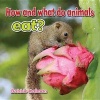 How and What do Animals Eat? (Paperback) - Bobbie Kalman Photo