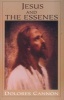 Jesus and the Essenes (Paperback, New edition) - Dolores Cannon Photo