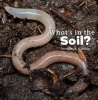 What's in the Soil? (Paperback) - Martha E H Rustad Photo