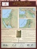 A Survey of the Old Testament (Loose-leaf, Study Guide) - John H Walton Photo