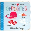 Opposites Lift a Flap (Board book) - Scarlett Wing Photo