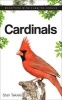 Cardinals (Paperback) - Stan Tekiela Photo