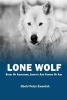 Lone Wolf - Story of Adventure, Identity and Coming of Age (Paperback) - Obehi Peter Ewanfoh Photo