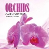 Orchids Calendar 2017 - 16 Month Calendar (Paperback) - David Mann Photo