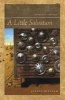 A Little Salvation - Poems Old and New (Paperback) - Judson Mitcham Photo