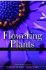 Flowering Plants - A Concise Pictorial Guide (Paperback) - Leon Gray Photo