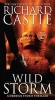 Wild Storm - A Derrick Storm Thriller (Paperback) - Richard Castle Photo