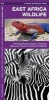East Africa Wildlife - A Folding Pocket Guide to Familiar Species in Kenya, Tanzania & Uganda (Pamphlet) - James Kavanagh Photo