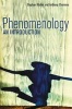 Phenomenology - An Introduction (Paperback) - Stephan Kaufer Photo