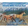 Where Wild Horses Run (Hardcover) - Georgia Graham Photo