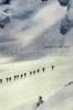 Life and Death on Mt. Everest - Sherpas and Himalayan Mountaineering (Paperback, Revised) - Sherry B Ortner Photo