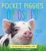 Pocket Piggies: Opposites! (Hardcover) - Richard Austin Photo