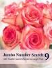 Jumbo Number Search 9 - 300 Number Search Puzzles in Large Print (Large print, Paperback, large type edition) - Puzzlefast Photo