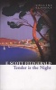 Tender is the Night (Paperback) - F Scott Fitzgerald Photo