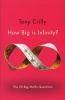 How Big is Infinity? - The 20 Big Maths Questions (Paperback) - Tony Crilly Photo