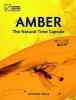 Amber - The Natural Time Capsule (Paperback, Revised edition) - Andrew Ross Photo