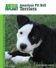 American Pit Bull Terriers (Hardcover) - Elaine Waldorf Gewirtz Photo