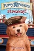 Stowaway! (Hardcover) - Erin Soderberg Photo