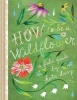 How to be a Wildflower - A Field Guide (Hardcover) - Katie Daisy Photo