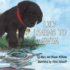 Lily Learns to Swim (Paperback) - Mary Williams Photo