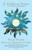 Wild Stars Seeking Midnight Suns (Paperback) - J California Cooper Photo