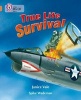 True Life Survival - Band 12/Copper (Paperback) - Janice Vale Photo