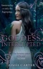 The Goddess Interrupted (Paperback) - Aimee Carter Photo