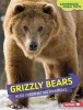 Grizzly Bears - Huge Hibernating Mammals (Hardcover) - Hirsch Rebecca Eileen Photo