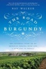 The Road to Burgundy - The Unlikely Story of an American Making Wine and a New Life in France (Paperback) - Ray Walker Photo