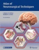 Atlas of Neurosurgical Techniques - Brain (Hardcover, 2nd Revised edition) - Laligam N Sekhar Photo