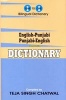 English-Punjabi & Punjabi-English One-to-one Dictionary - Script & Roman (Hardcover, 2nd Revised edition) - T S Chatwal Photo