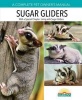 Sugar Gliders (Paperback, 2nd) - Caroline Wightman Photo