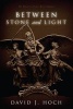 Between Stone and Light - The Mystery of the Three Zodiacs (Paperback) - David J Hoch Photo