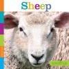 Sheep (Hardcover) - Quinn M Arnold Photo