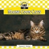 Maine Coon Cats (Hardcover) - Tamara L Britton Photo