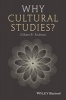 Why Cultural Studies? (Hardcover) - Gilbert B Rodman Photo