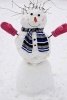 Seriously Cute Snowman Winter Journal - 150 Page Lined Notebook/Diary (Paperback) - Cs Creations Photo