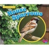 House Sparrows (Hardcover) - Gail Saunders Smith Photo