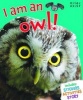 I am an Owl! (Paperback) - Belinda Gallagher Photo